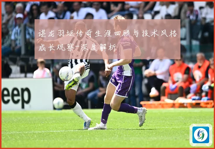 谌龙羽坛传奇生涯回顾与技术风格成长观察-深度解析